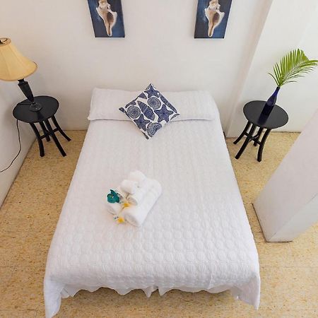 Vieques Tropical Guest House Екстериор снимка