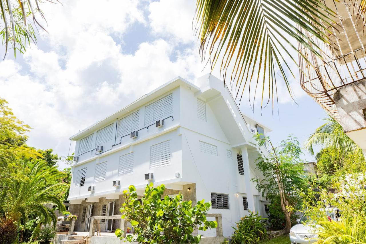 Vieques Tropical Guest House Екстериор снимка