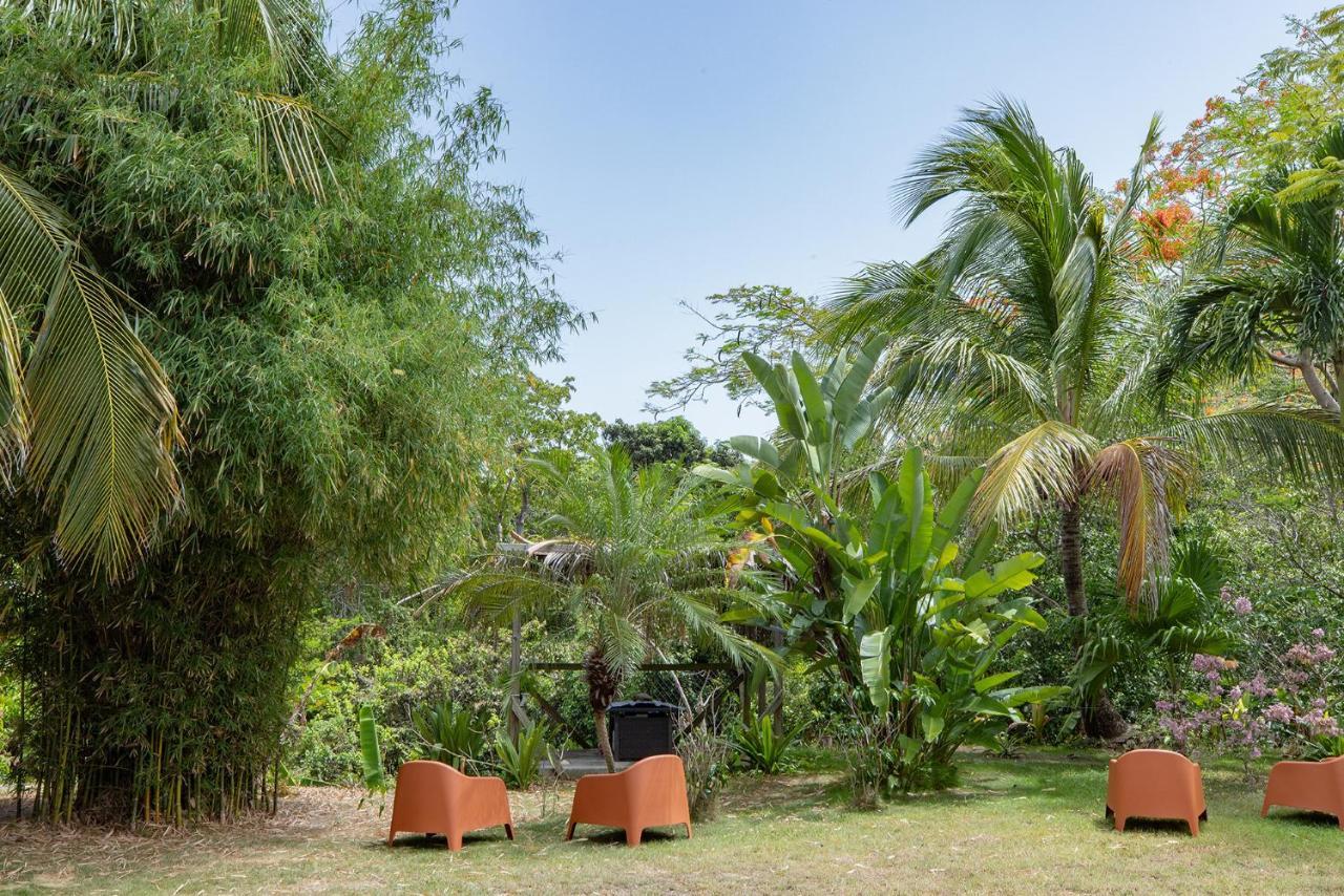 Vieques Tropical Guest House Екстериор снимка